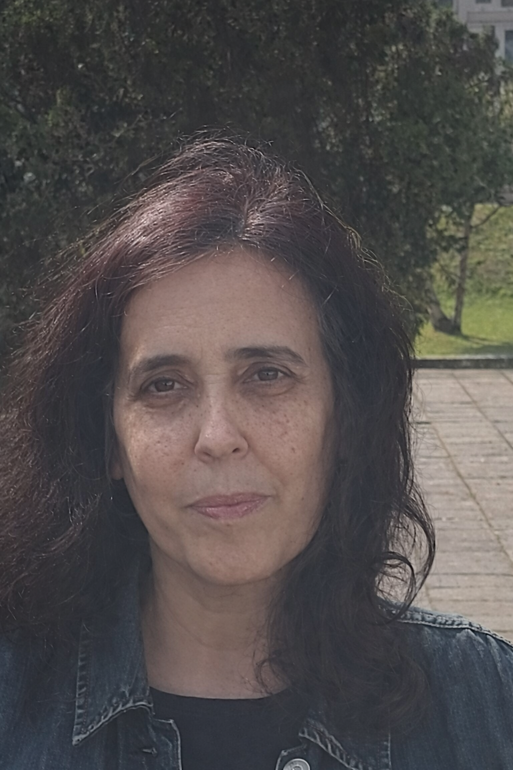 Cristina Chuva - ISEC